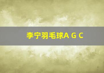 李宁羽毛球A G C